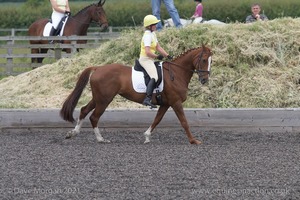 ISIS Dressage Challenge 2008